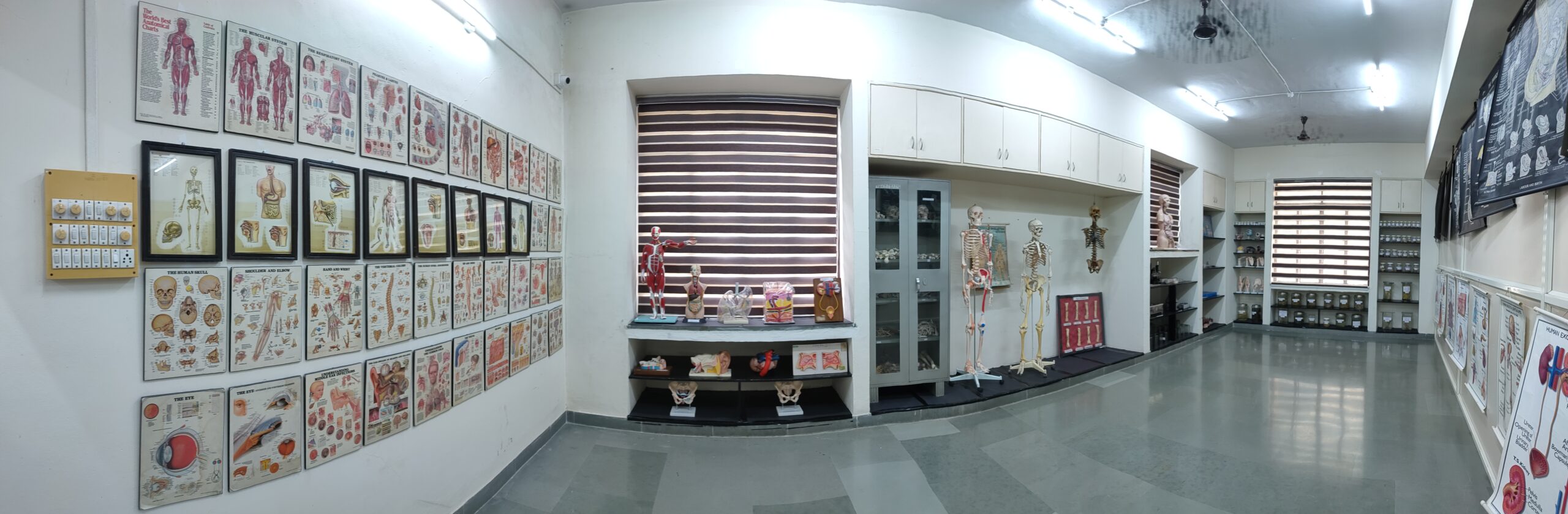 oppo_4